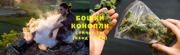 PSILOCYBIN Аркадак