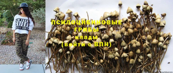 гидра Армянск