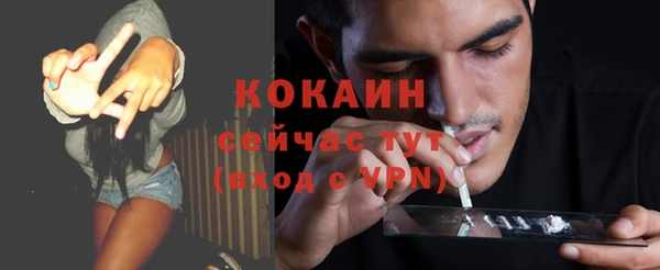 PSILOCYBIN Аркадак