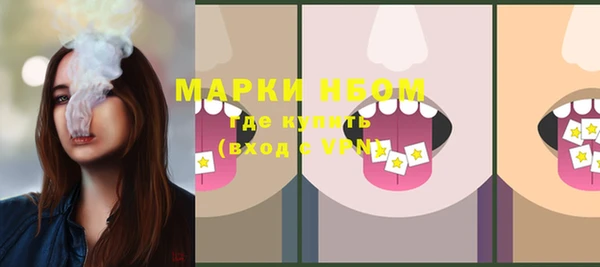 PSILOCYBIN Аркадак