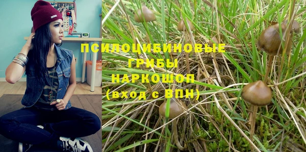 PSILOCYBIN Аркадак