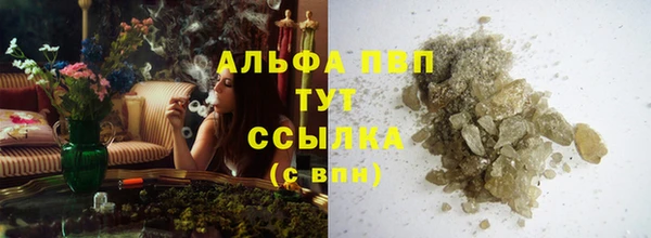 PSILOCYBIN Аркадак