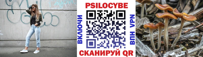 kraken рабочий сайт  нарко площадка какой сайт  Псилоцибиновые грибы Magic Shrooms  Оханск 